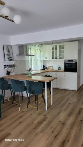 Odiseea Apartment